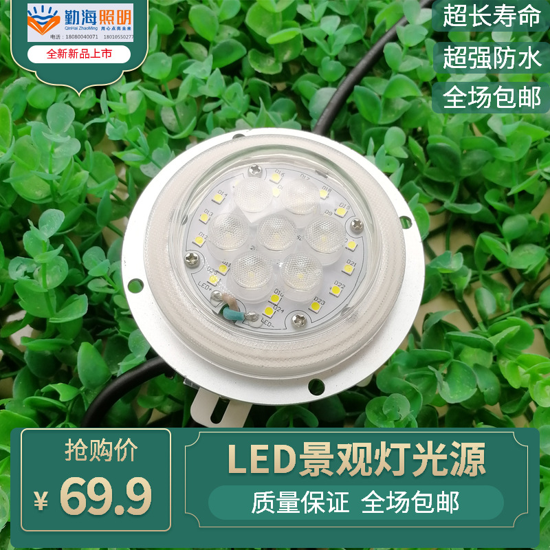 LED玉兰灯路灯模组景观灯草坪灯柱头灯点光源庭院灯光源厂家直销|ms