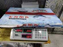 新鲜冷冻东海鲳鱼1件5斤（16~17只）酒店饭店烧烤食材.顺丰配送