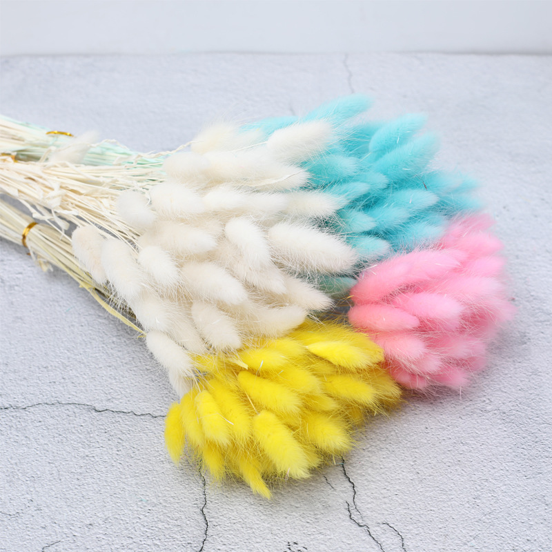 조합 꽃다발/화려한 토끼