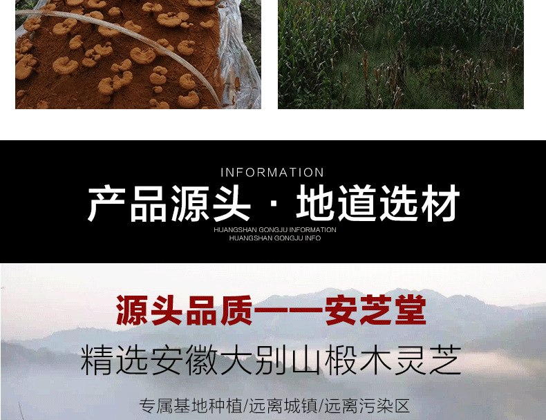 安芝堂详情页_02