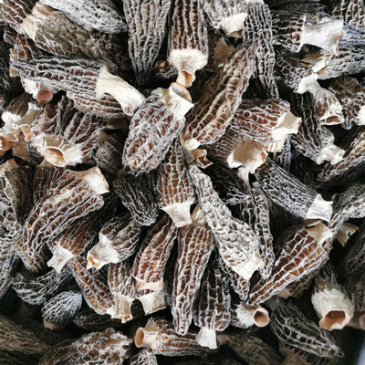 Manufactor Morel mushroom artificial Mushroom wholesale Morel mushroom dried food Restaurant Mushroom Morel mushroom