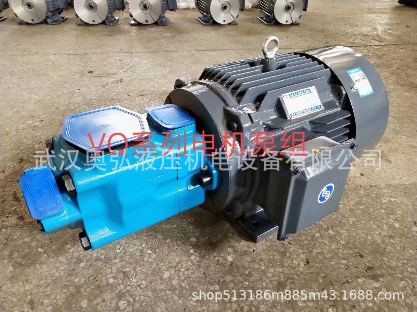 YBE-40/200广液高压双联叶片泵注塑机叶片泵电机组，维修比例阀
