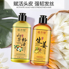 Botanical Beauty Wash and Care Set, Gentle Moisturizing, Smoothing, Nourishing, Active Nutritional Hair Care Shampoo, Ginger Shampoo