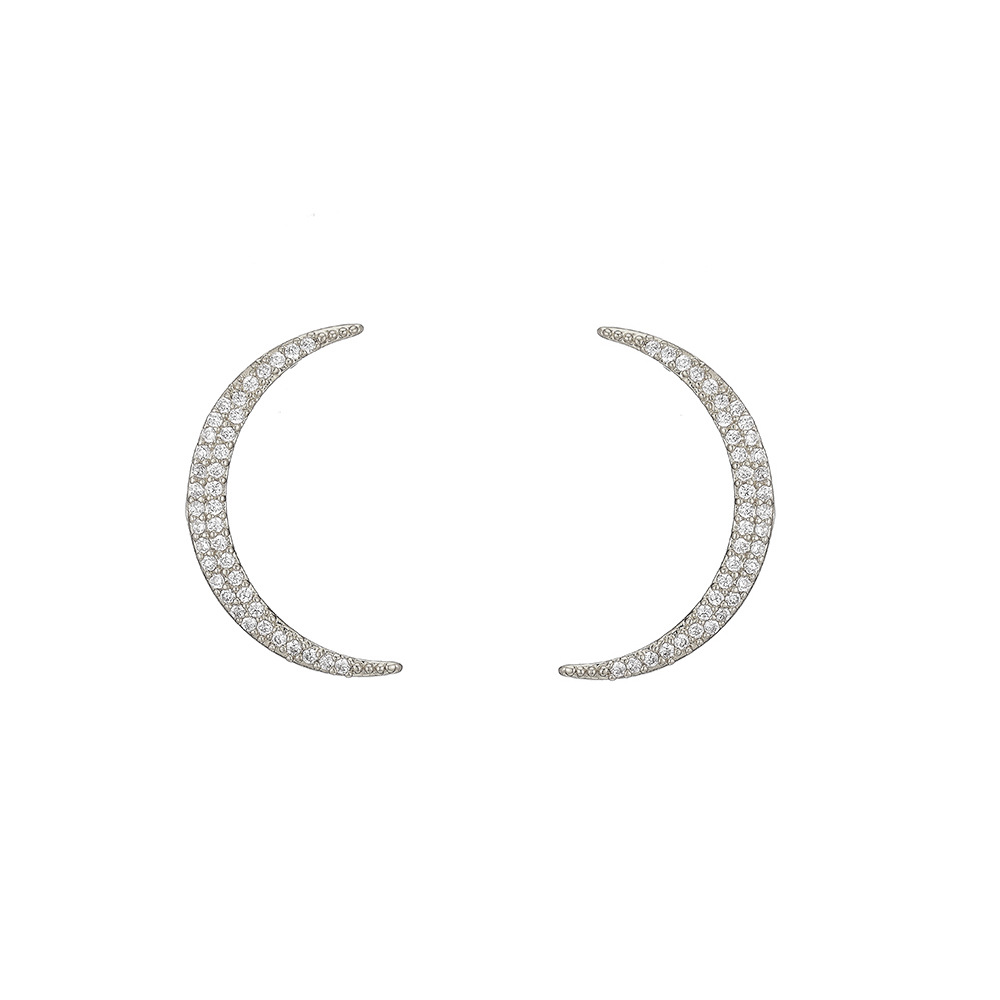 Hot Selling  New Sickle-shaped Diamond Moon Earrings display picture 7