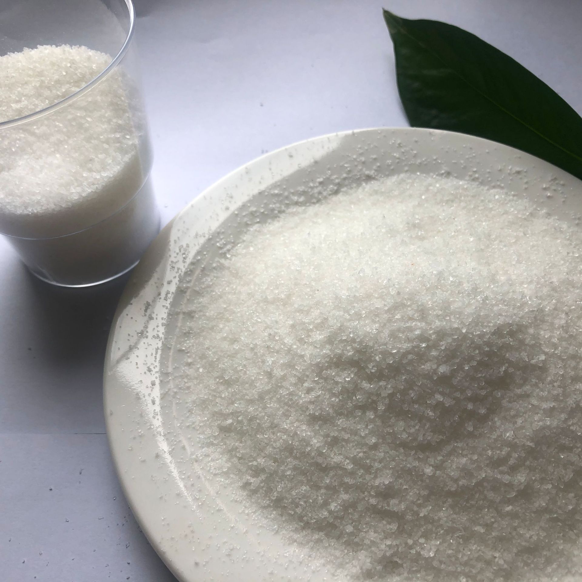 e83a730dd9dcc427b2c4e6c204e6d7