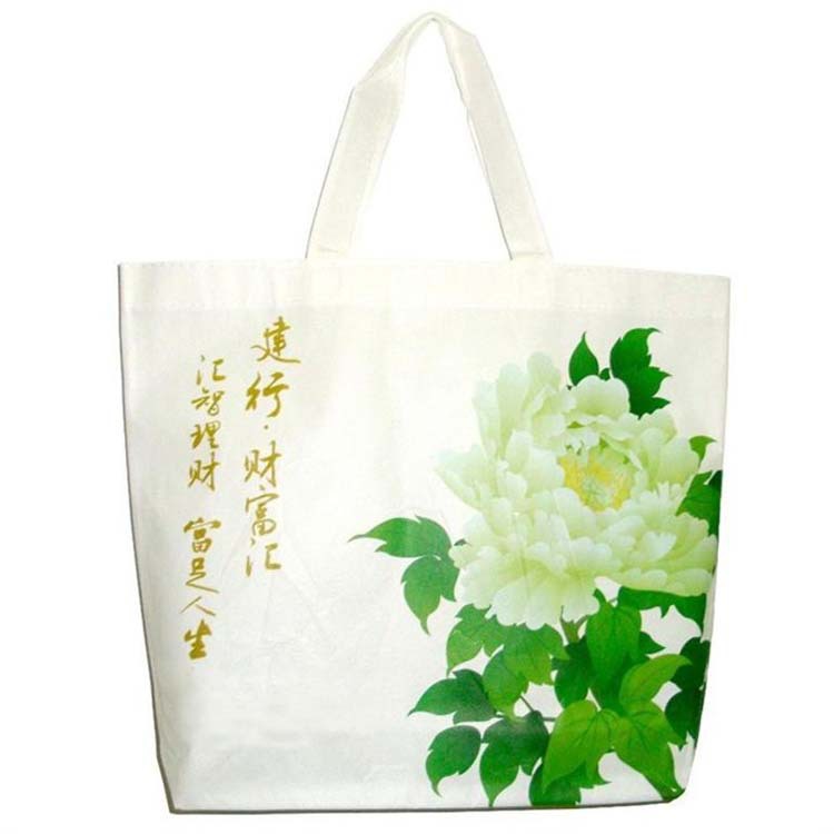 Shopping bag non-woven cloth