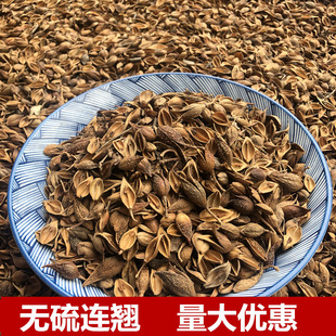 �؎X�B�N500��g ɏ�N  �S�N ���N���N �B�����N ��ĥ�B�N��