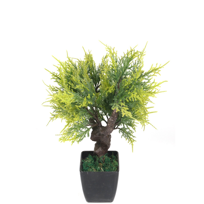 XRS-007 盆栽小柏树叶0.45米5.jpg