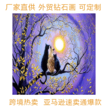 ����ѷ������ʯ����ֻè����ó5D��������DIY��ʯ������