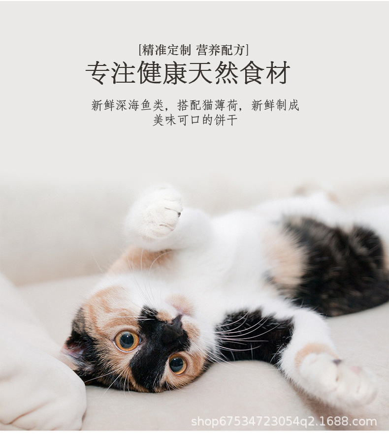猫饼干日系风格_09.jpg