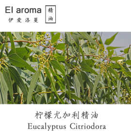 澳大利亚柠檬尤加利精油 柠檬按树单方精油 清新提神 10ML起订