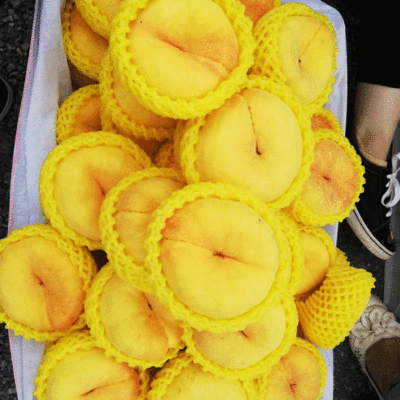 现摘现发黄金蟠桃新鲜当季水果香甜多汁应季毛蟠桃包邮18个一箱|ms