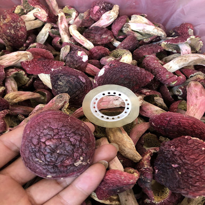 雲南土特産菌菇幹貨大紅菇小紅菇 孕婦月子菇壹手貨源淨重250克裝