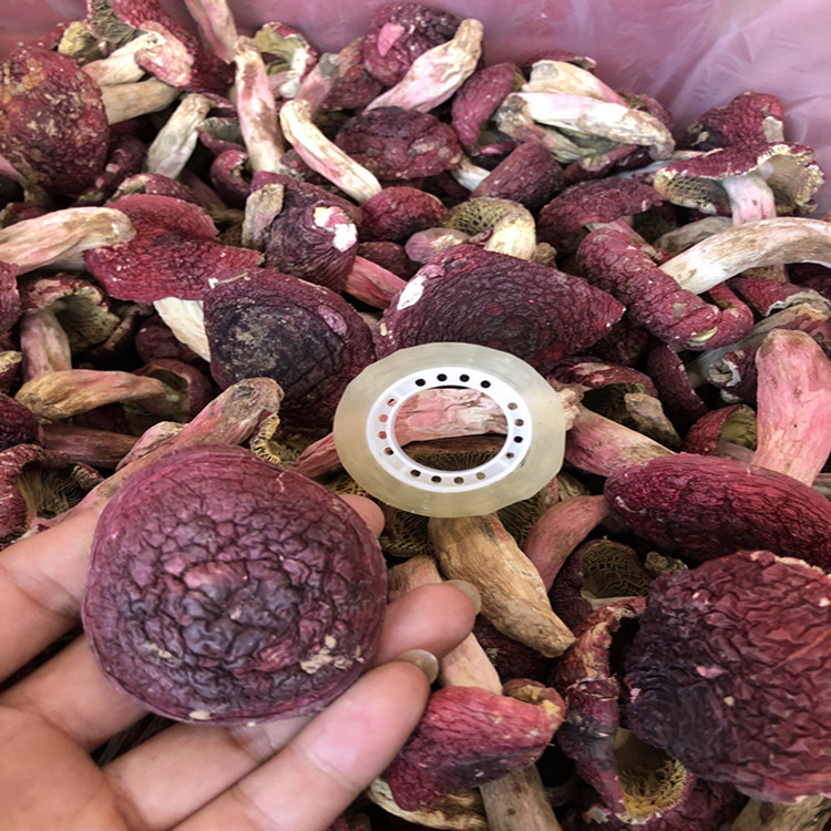 雲南土特産菌菇幹貨大紅菇小紅菇 孕婦月子菇壹手貨源淨重250克裝