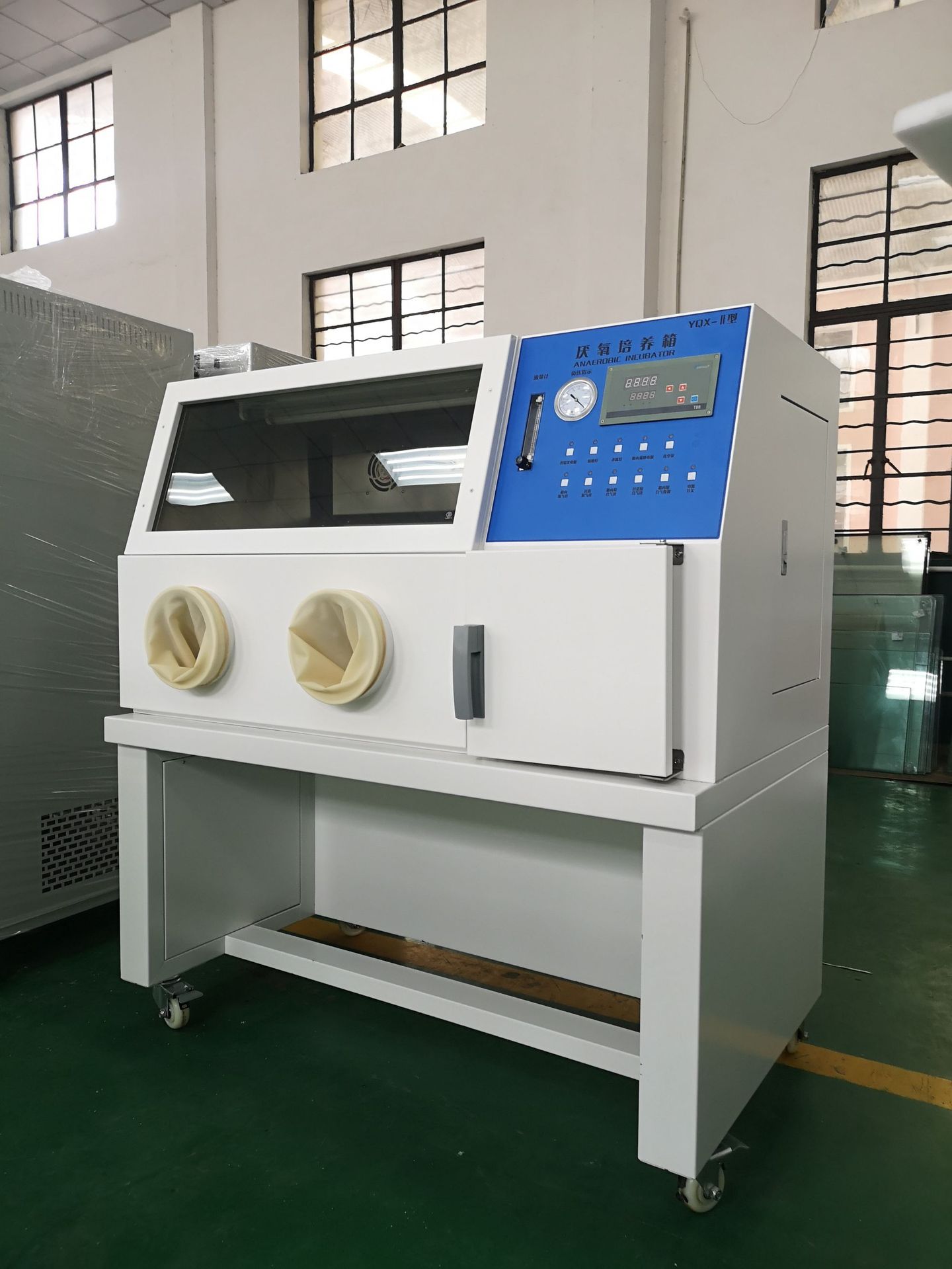 供应厌氧培养箱YQX-11价格 厂家供应 可加工定做 质量保障