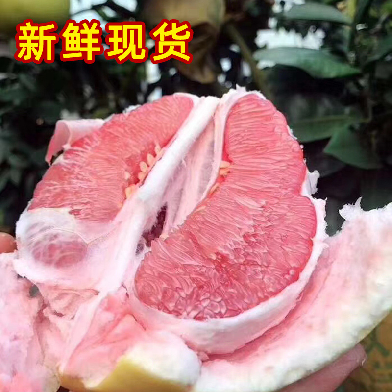 Three red pomelo Season stock Hainan fresh Pomelo Fujian Pummelo