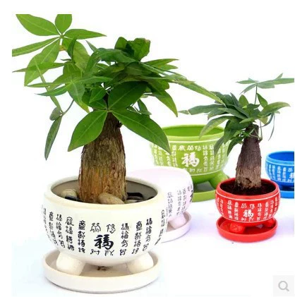 Цветочный горшок китайский стиль красный керамический Фудин фу характер горшок пасторальный Настольный Зеленый завод цветок круглый старинный горшок Садоводство