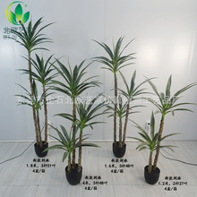 ���愦�� ���m���� �����m���W�҃��b[�O����ɳĮ�Gֲ���S���l