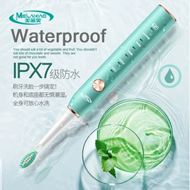 电动牙刷;剥壳去核器;个护电器配件