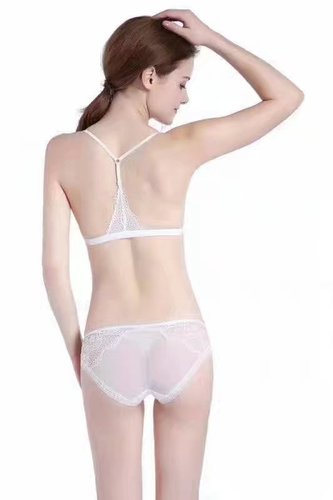 Fashionable European and American Thin Sexy Lace Triangular Cup Wireless Front Buckle Bra Underwear Set 1618