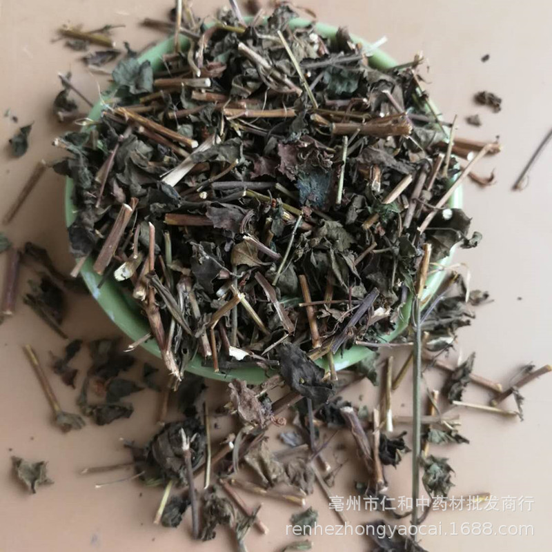 Dried Rabdosia Rubescens Herb Dong Ling Cao Whole Herb for Herbal Tea and Decoction 500g key features