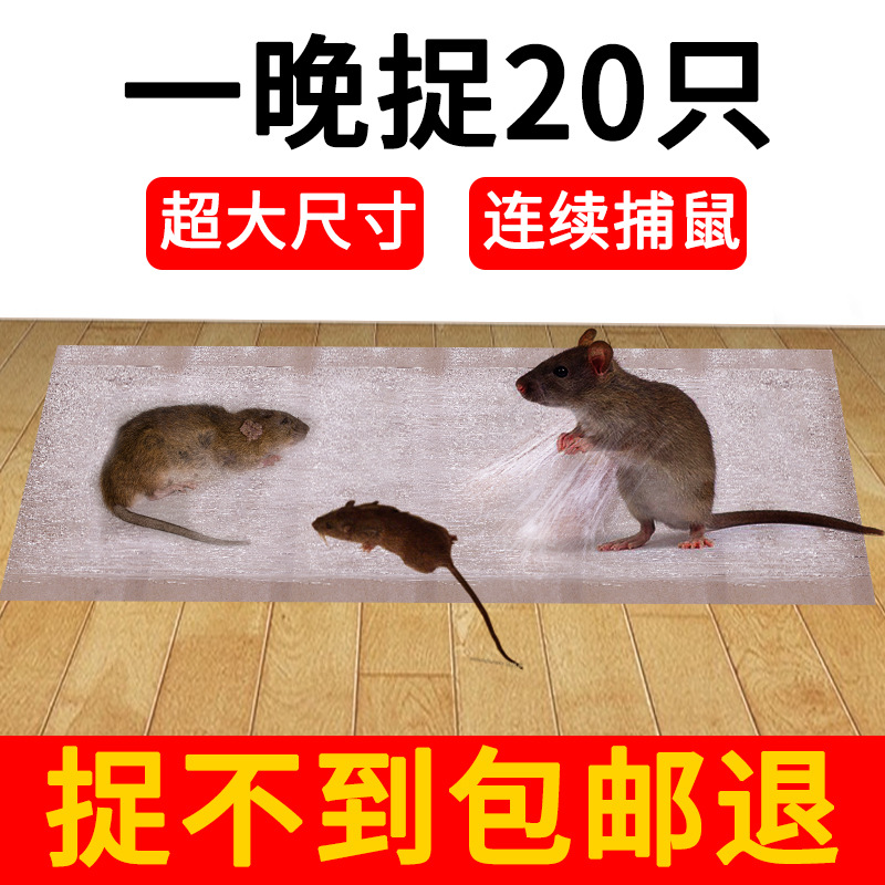 老鼠貼超強力粘鼠板滅鼠魔毯抓老鼠夾捕鼠器家用黏鼠膠批發