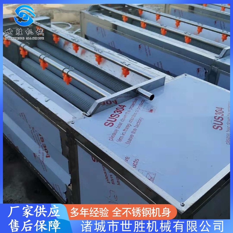 供应鲜花生毛刷清洗机 不锈钢毛辊清洗机设备 药材清洗机设备