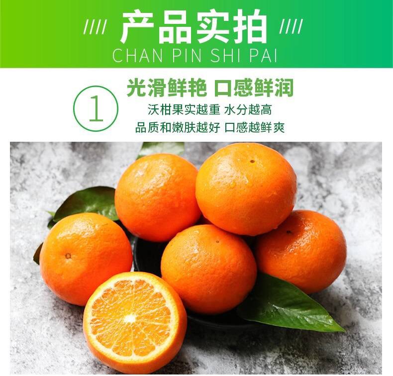 5 - 副本.jpg