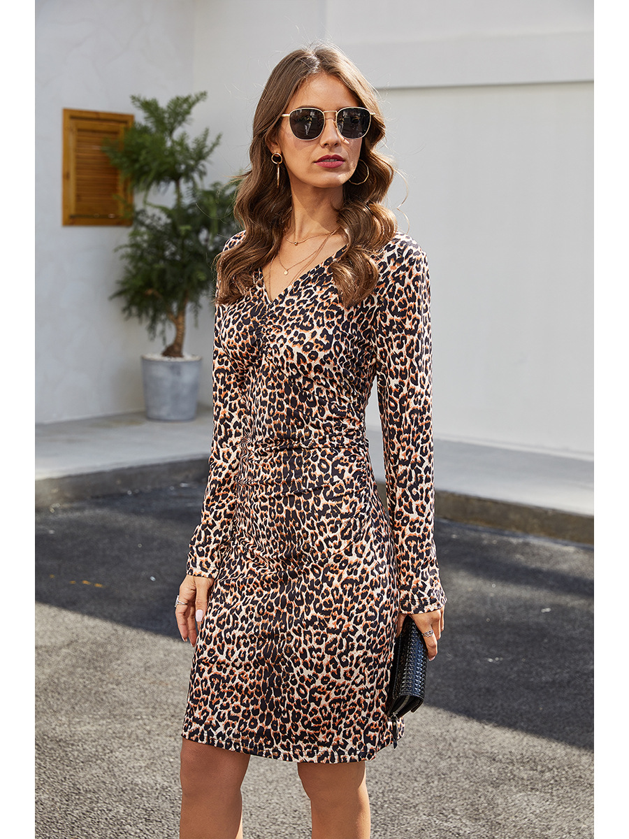   V-neck leopard print long sleeve dress   NSAL2912