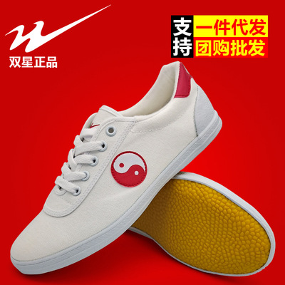 雙星太極鞋武術鞋運動健身鞋練功鞋男女運動鞋防滑晨練鞋牛筋底