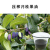 supply domestic Laurel oil Laurel oil Base Oil Handmade Soap raw material Manufactor