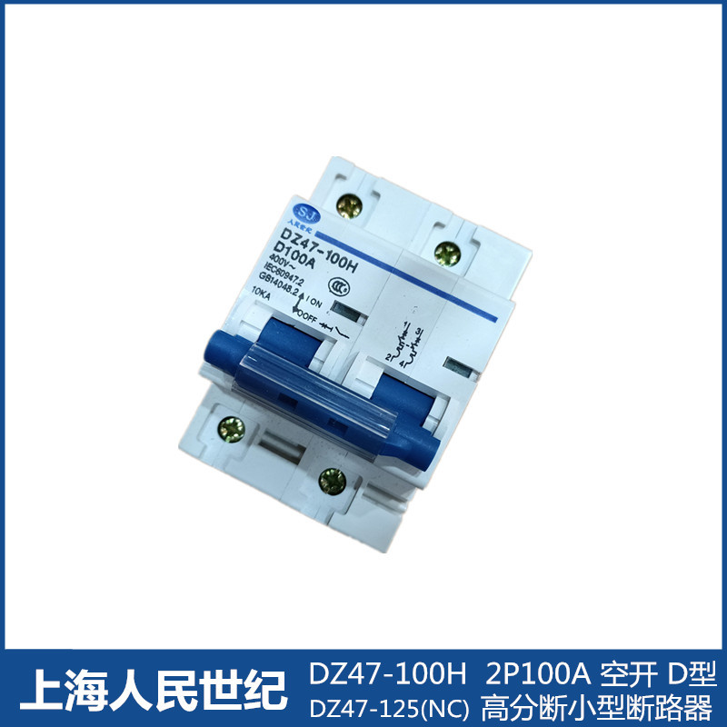 2P空开  小型断路器DZ47-125 D100A 电机水泵空气开关 工业断路器