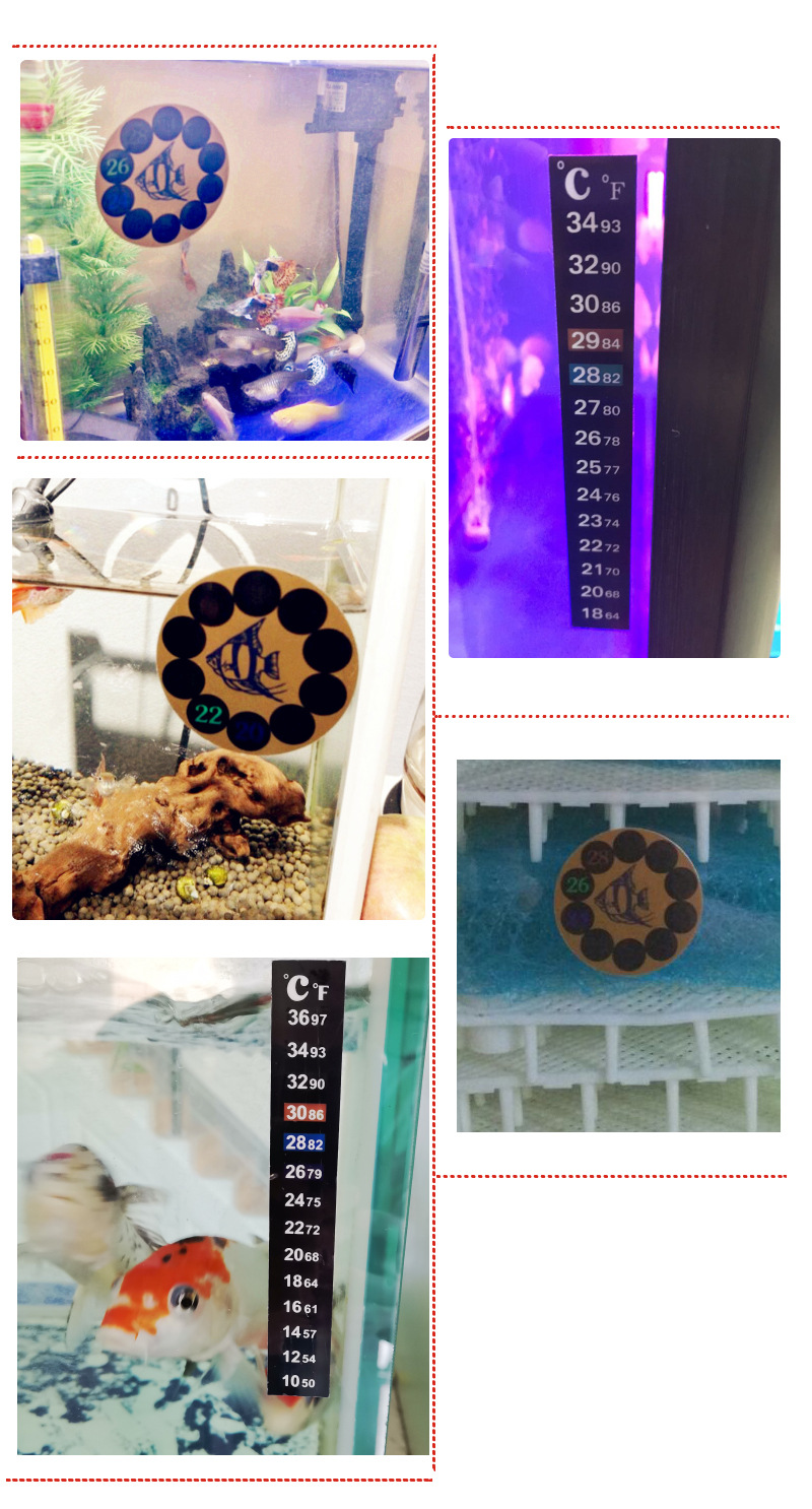 Fish Tank Paste Scenemap