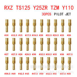 VM TM TMX RXZ TS125 TZM Y125摩托车化油器量孔喷油嘴 pilot jet