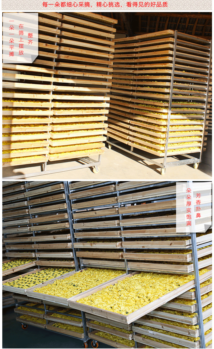 盒装独立朵金丝皇菊