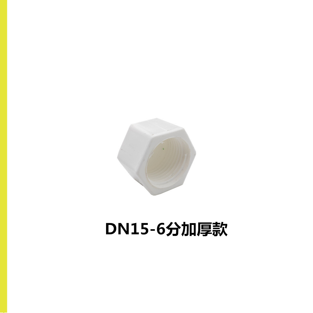 ppr-堵帽6分
