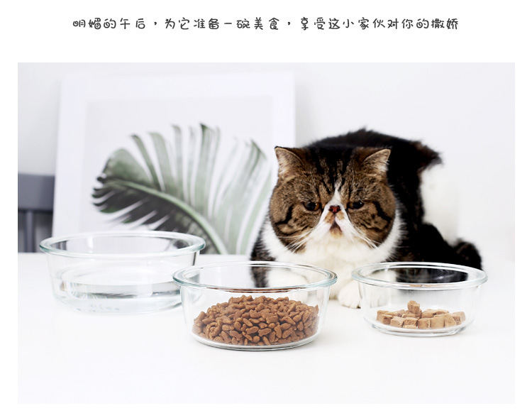 金架玻璃猫碗_12.jpg