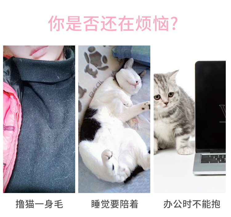 撸猫群xq_02.jpg