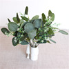 Cross border Specifically for simulation Eucalyptus diy decorate flower arrangement Eucalyptus leaves Money