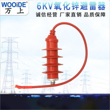 HY5WS-10/30�����������\�������߉�6KV������HY5WS(R)-10/27