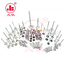 气门及部件;油封;活塞/活塞环