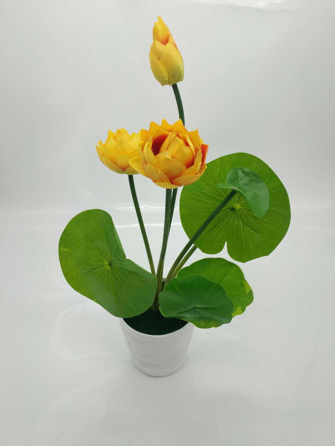 WeChat 圖片_20200704121149