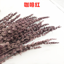 ޹² ޹²  ͶY ҾӔ[ ղ ˇɻ