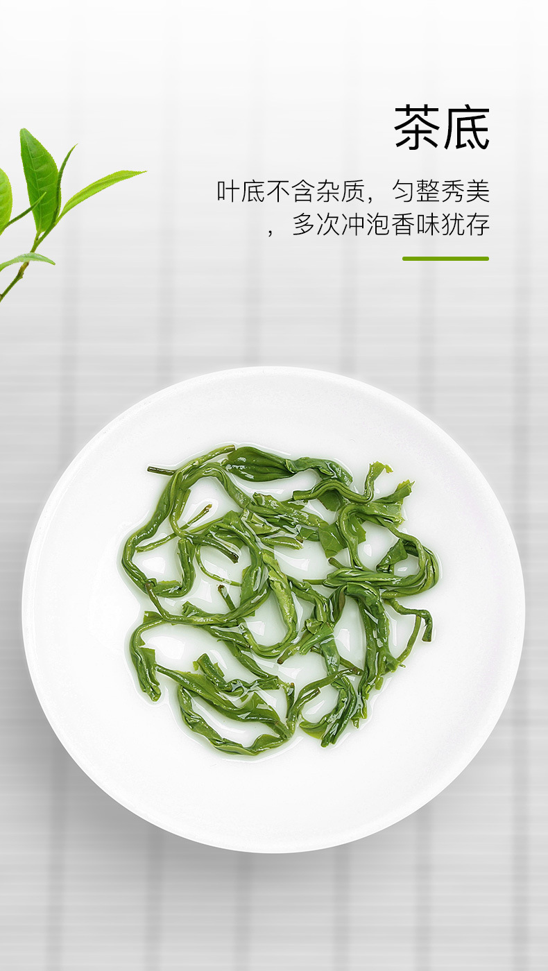 蒙顶绿茶(毛峰头茶)_05
