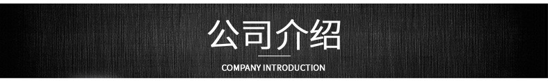 公司介绍