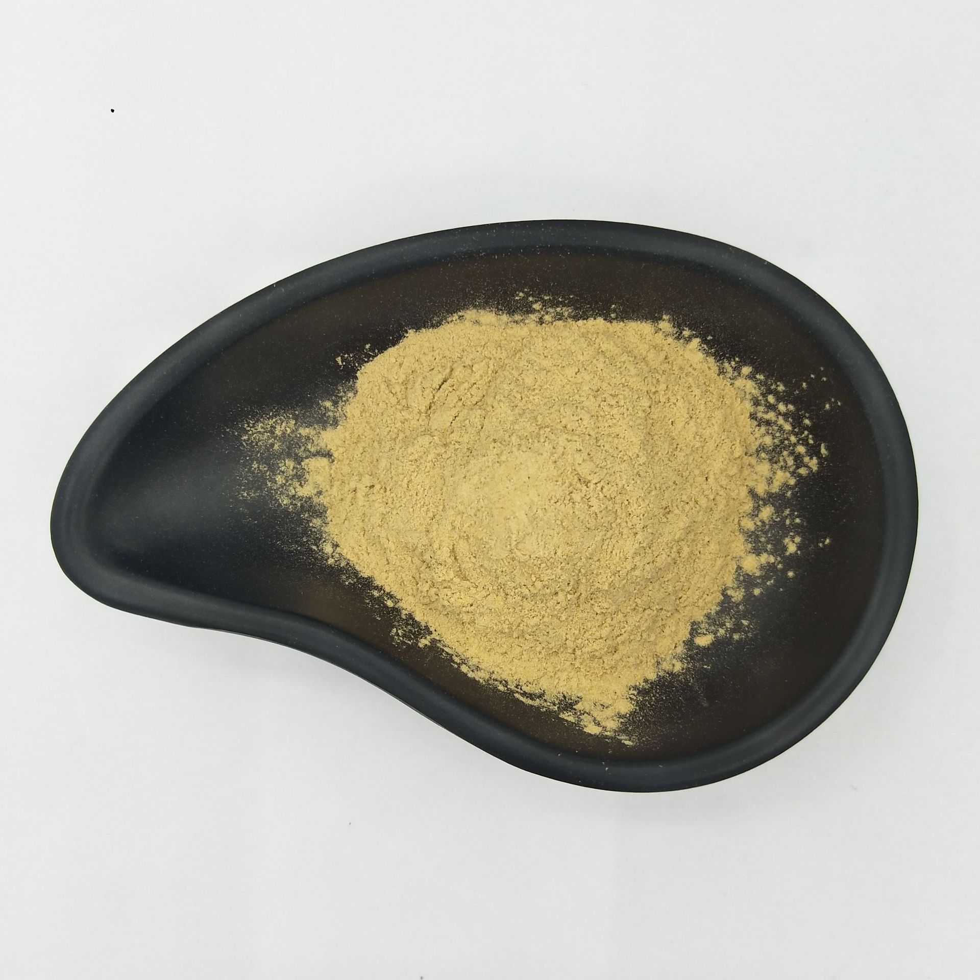 黑蒜提取物10:1 黑蒜粉 黑蒜提取物 现货供应 1kg起订