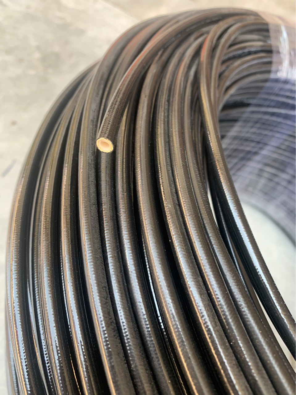 ZEC TS8630100 1/8 MAX WP.630BAR ����DN3��ѹ���ܼ��ܳ�