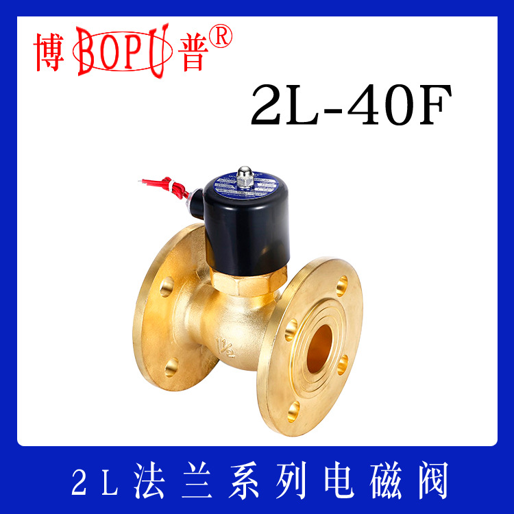 2L-40F先导式 活塞 蒸汽电磁阀 黄铜材质 法兰连接 博普厂家