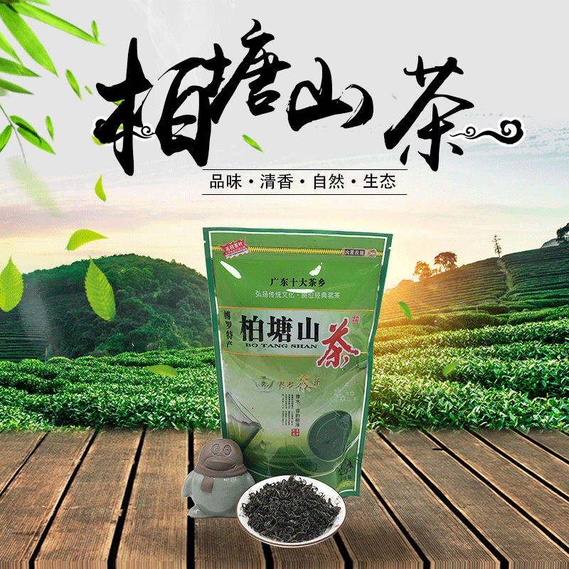 手工绿茶柏塘山茶封口袋装悠谷春绿茶茶叶博罗特产茶叶农产品批发