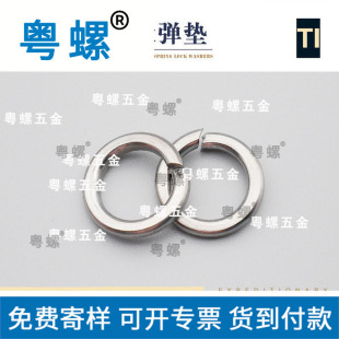 �S�ҬF؛ ⁏��| ȫҎ�� ���ɉ|Ȧ ���|�͸��g